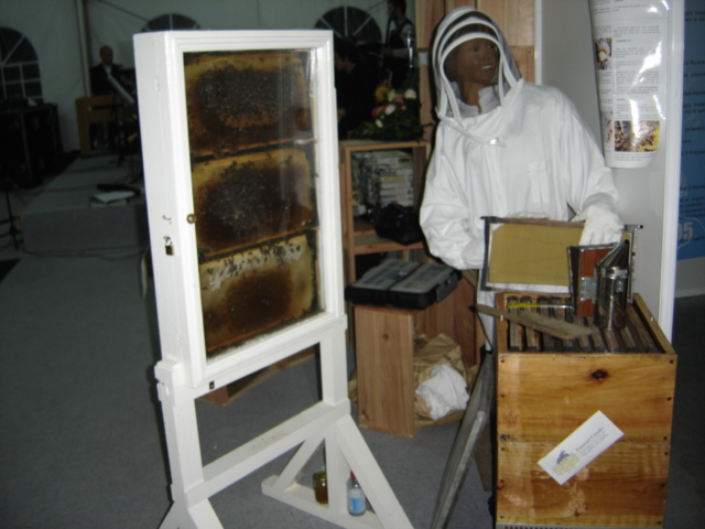 anexo-sem-nome-00977